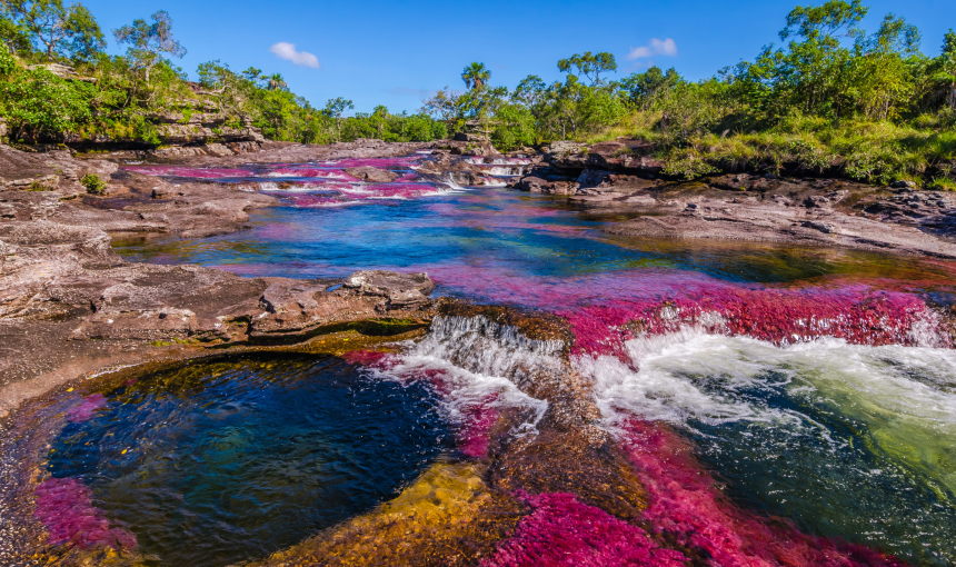 Explore: Colombian Orinoquia & Amazonia